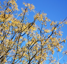 Similar image 8956654