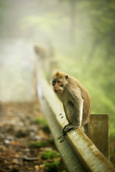 Similar image 8956831