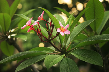 Similar image 8956842