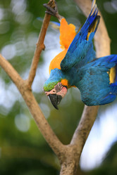 Similar image 8956848