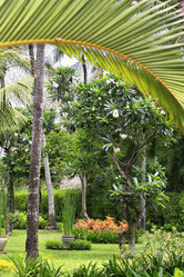 Similar image 8956859