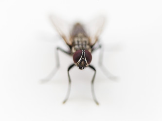 Similar image 8956870