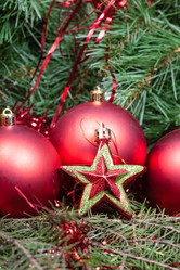 Similar image 8957419