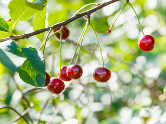 Similar image 8957762