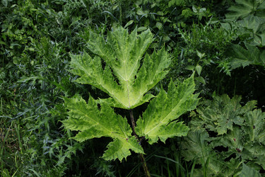 Similar image 8958346