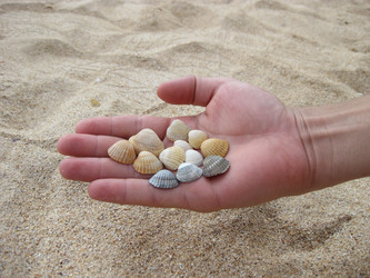 Similar image 8958350