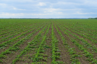 Similar image 8958353