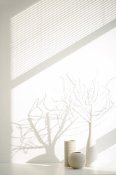 Similar image 8958363