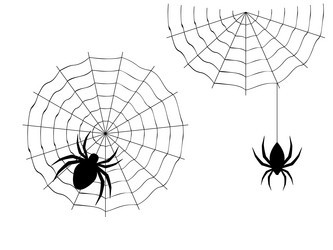 Similar image 8960267