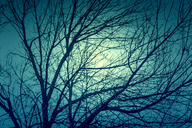 Similar image 8960364