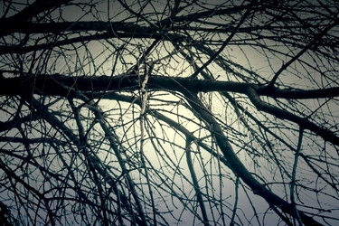 Similar image 8960366