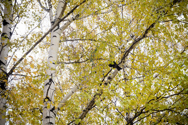 Similar image 8960368