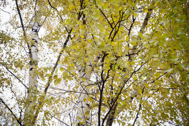 Similar image 8960370