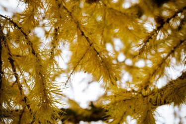 Similar image 8960372