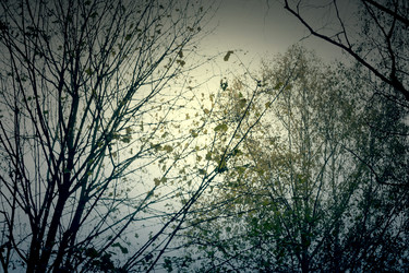 Similar image 8960374