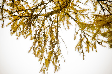 Similar image 8960378