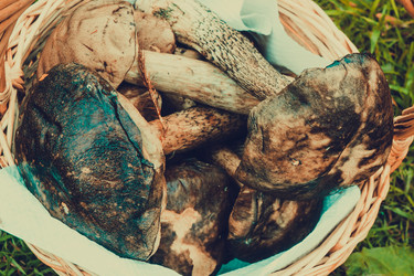 Similar image 8960386