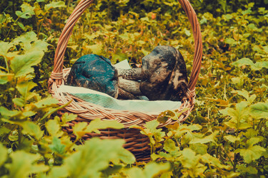 Similar image 8960388