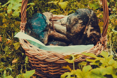 Similar image 8960390