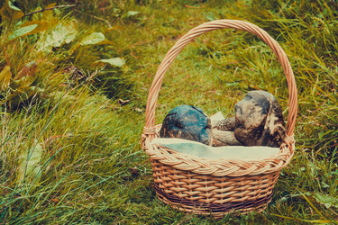 Similar image 8960392