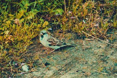 Similar image 8960479