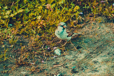 Similar image 8960481