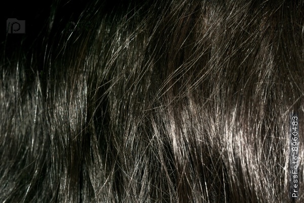 Фотография на тему Темно-коричневые волосы текстуры | PressFoto