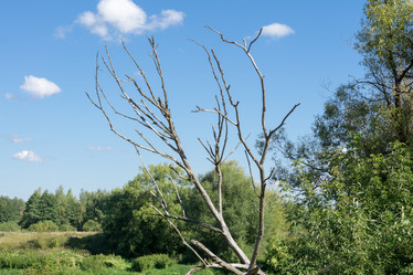 Similar image 8960576