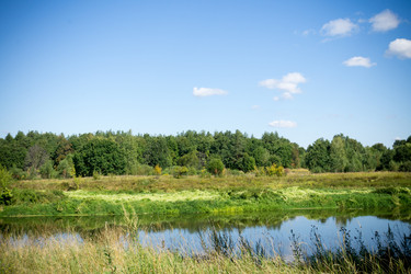 Similar image 8960580