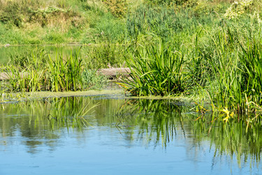 Similar image 8960586