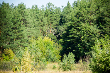 Similar image 8960588