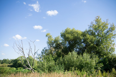 Similar image 8960590