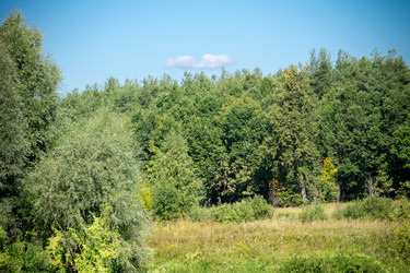 Similar image 8960596