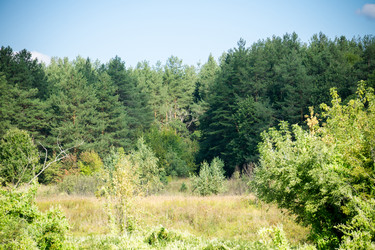 Similar image 8960599