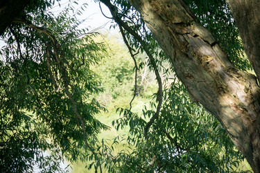 Similar image 8960600