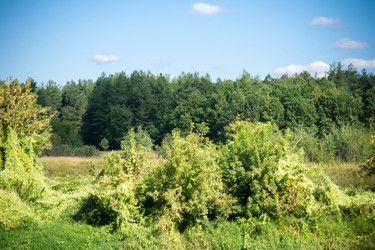 Similar image 8960690