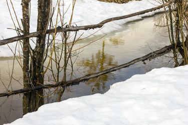 Similar image 8960704