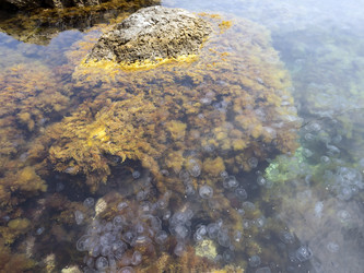 Similar image 8962819