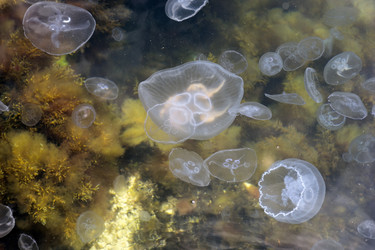 Similar image 8962826