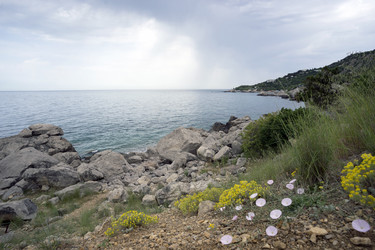 Similar image 8962836