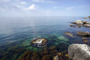 Similar image 8962842