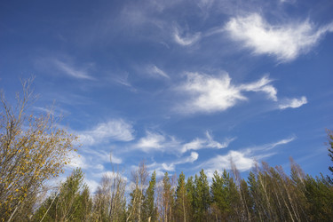 Similar image 8962969