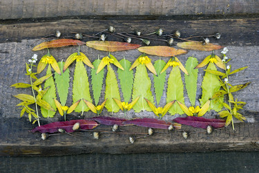 Similar image 8962973