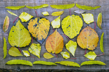 Similar image 8963154