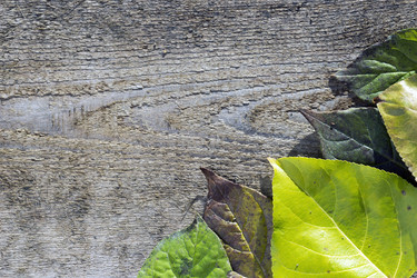 Similar image 8963157