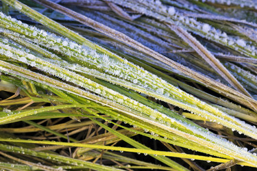 Similar image 8963178