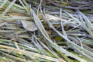 Similar image 8963182