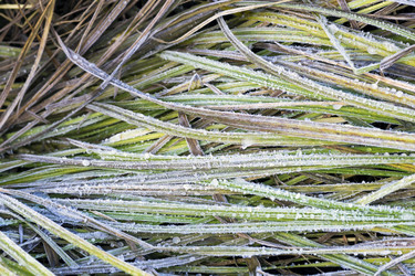 Similar image 8963184