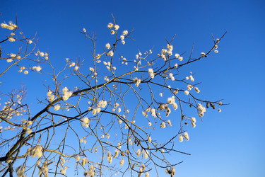 Similar image 8963186