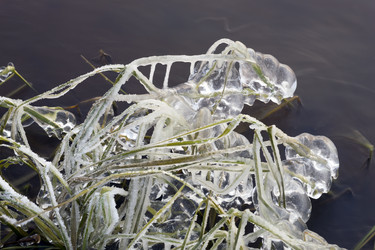 Similar image 8963286